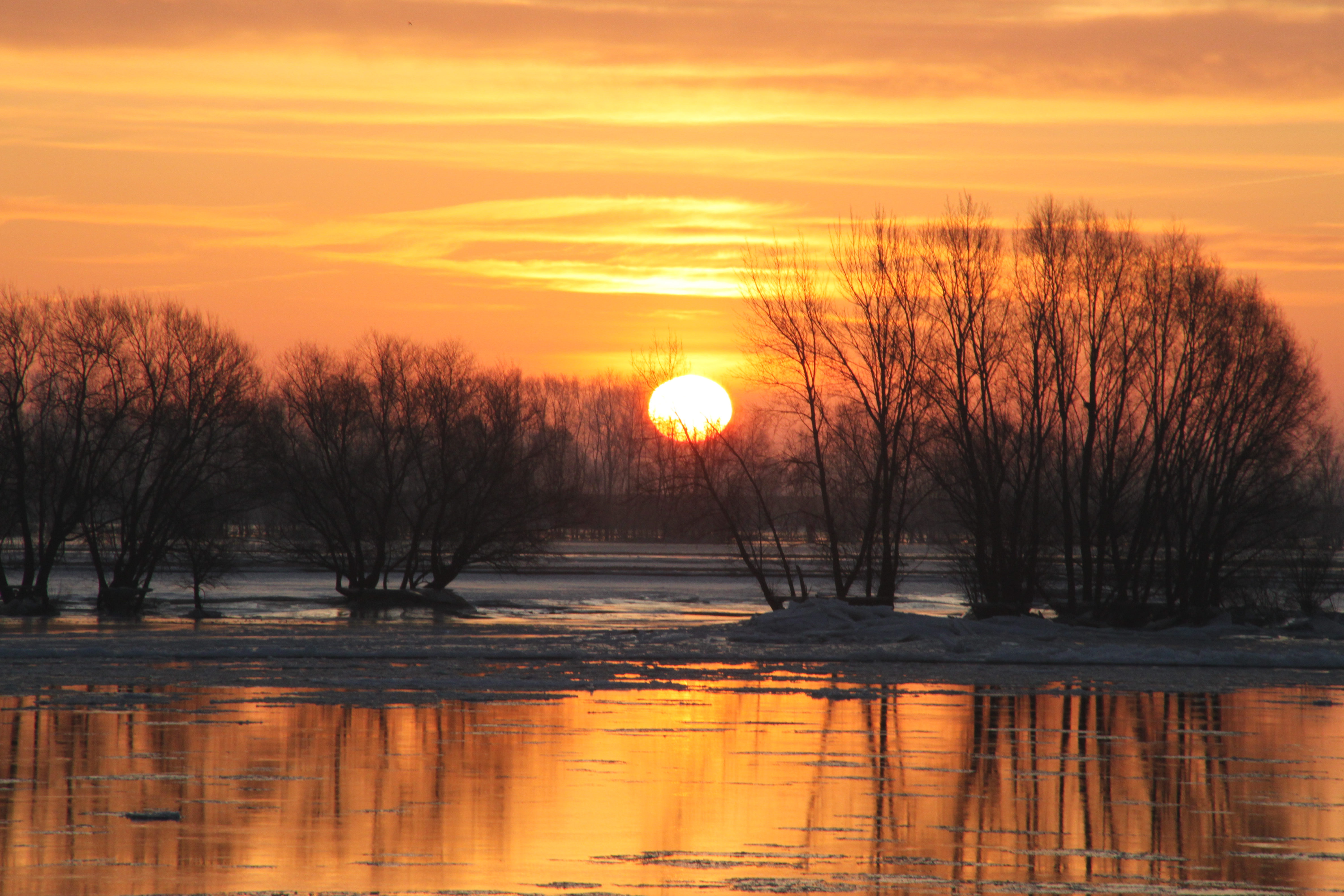 Sonnenuntergang an der Elbe